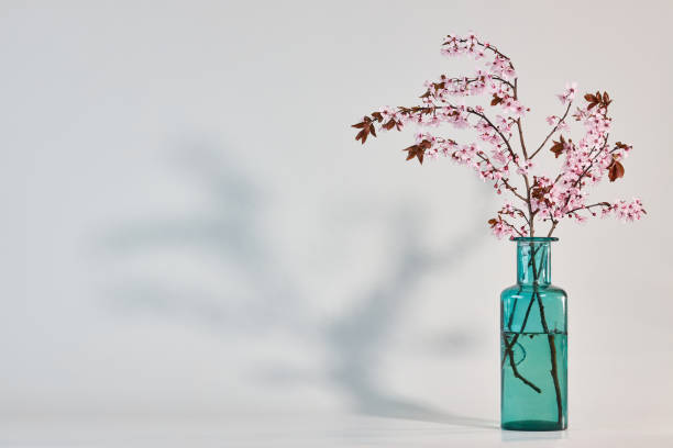 istock cherry blossom ikebana in a blue vase, strong shadow 1485086411
