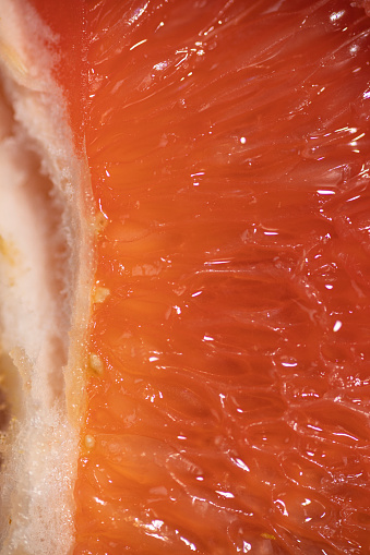 slice of grapefruit macro pfotography