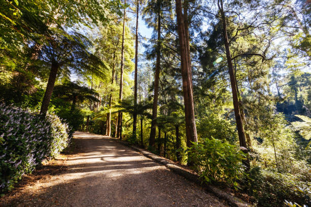 istock Alfred Nicholas Memorial Gardens in Australia 1485090897
