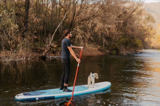 istock Paddleboarding on the river with my dog 1485090916