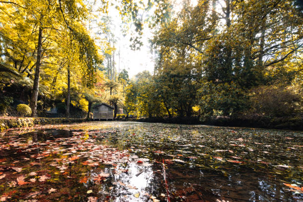 istock Alfred Nicholas Memorial Gardens in Australia 1485090950