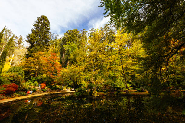 istock Alfred Nicholas Memorial Gardens in Australia 1485090953