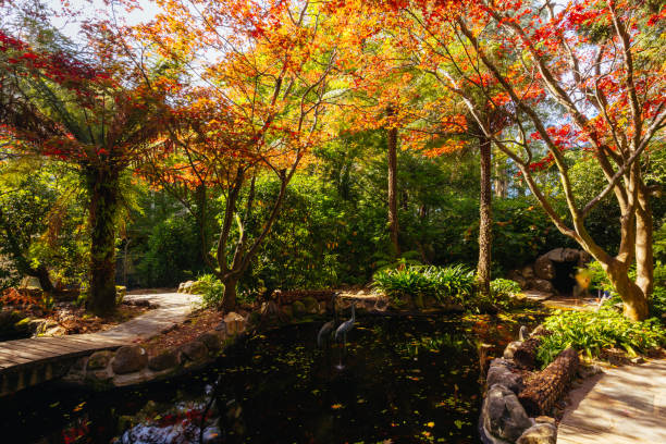 istock Alfred Nicholas Memorial Gardens in Australia 1485090966