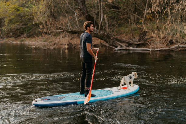 istock Paddleboarding on the river with my dog 1485090981