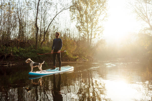 istock Paddleboarding on the river with my dog 1485091458
