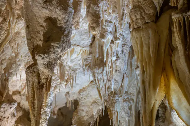 Photo of Waitomo streamway cave system that includes the Ruakuri Cave, Lucky Strike, and Tumutumu Cave. North Island, New Zealand