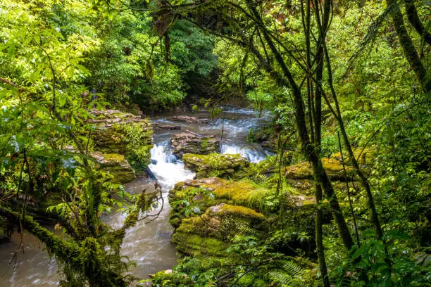 Photo of Waitomo streamway cave system that includes the Ruakuri Cave, Lucky Strike, and Tumutumu Cave. North Island, New Zealand