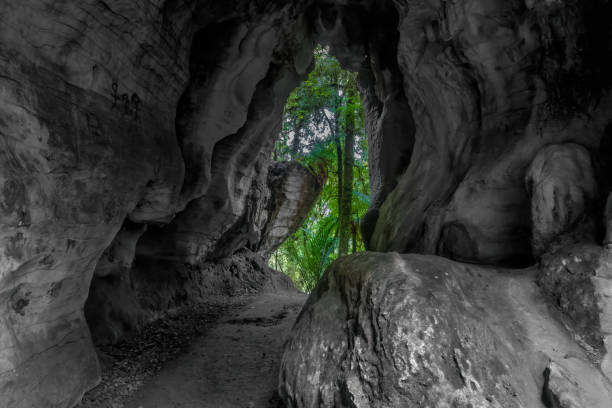Waitomo streamway cave system that includes the Ruakuri Cave, Lucky Strike, and Tumutumu Cave. North Island, New Zealand
