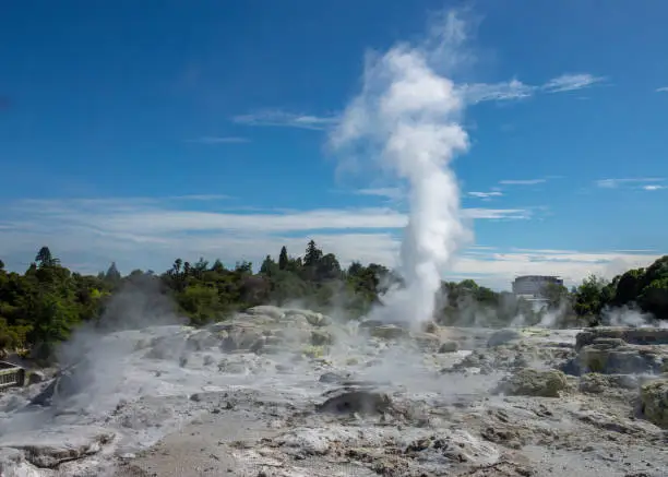 Photo of Pohutu Geyser in the Whakarewarewa Thermal Valley, Rotorua, in the North Island of New Zealand. The geyser is the largest in the southern hemisphere and among the most active in the area