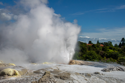 Pohutu Geyser in the Whakarewarewa Thermal Valley, Rotorua, in the North Island of New Zealand. The geyser is the largest in the southern hemisphere and among the most active in the area