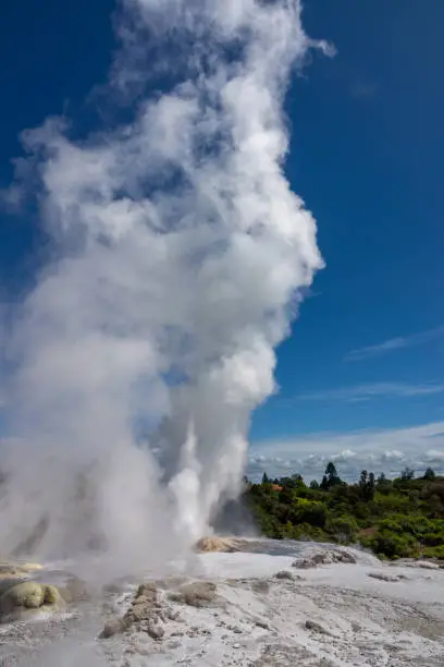 Photo of Pohutu Geyser in the Whakarewarewa Thermal Valley, Rotorua, in the North Island of New Zealand. The geyser is the largest in the southern hemisphere and among the most active in the area