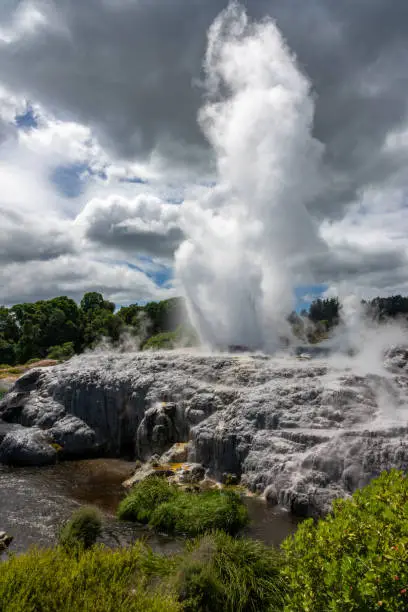 Photo of Pohutu Geyser in the Whakarewarewa Thermal Valley, Rotorua, in the North Island of New Zealand. The geyser is the largest in the southern hemisphere and among the most active in the area