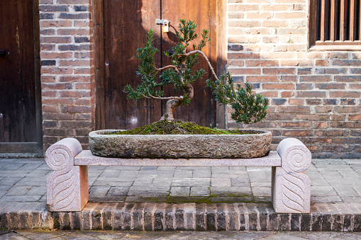 Stone flower pots for planting potted plants in a Chinese garden