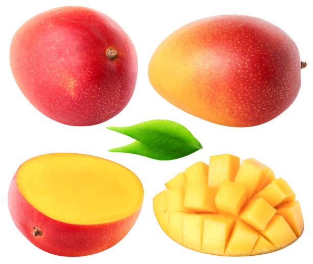 istock Isolated collection of mango. Whole, half, cubes of mango fruit with leaves isolated on white background with clipping path 1485095280