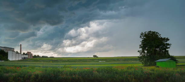 istock Panoramic view of Alone tree in a field and a garage under a sky with clouds before a storm on a summer outside the city in the field 1485097200