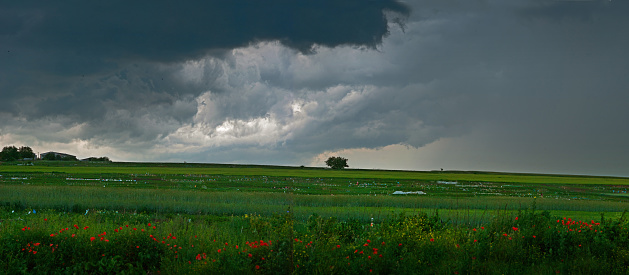 Dramatic storm clouds and sky from a strong thunderstorm in a summer field with a lonely tree outside the city