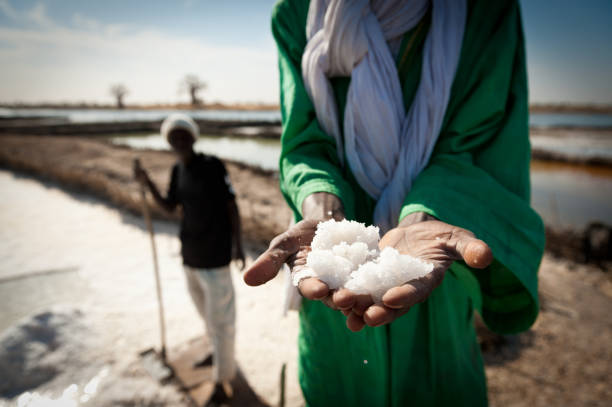 Salt production in Senegal, Africa