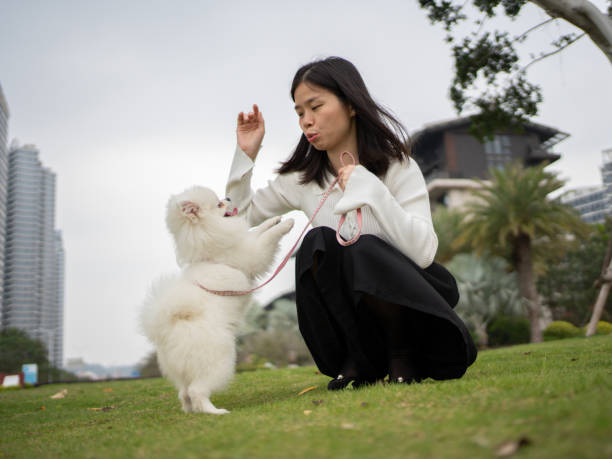 istock woman playing with pet dog on grass 1485097724