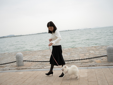 Woman walking with her dog by the sea