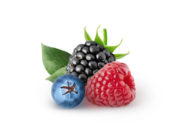 istock Isolated beries. Blueberry, blackberry, raspberry fruits isolated on white background with clipping path 1485097945