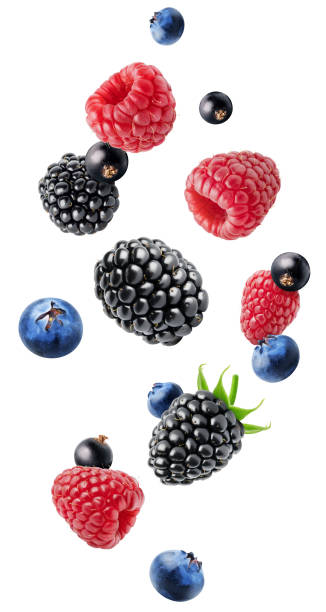 istock Isolated flying berries. Blackberry, blueberry, raspberry and currants isolated on white background with clipping path 1485099400
