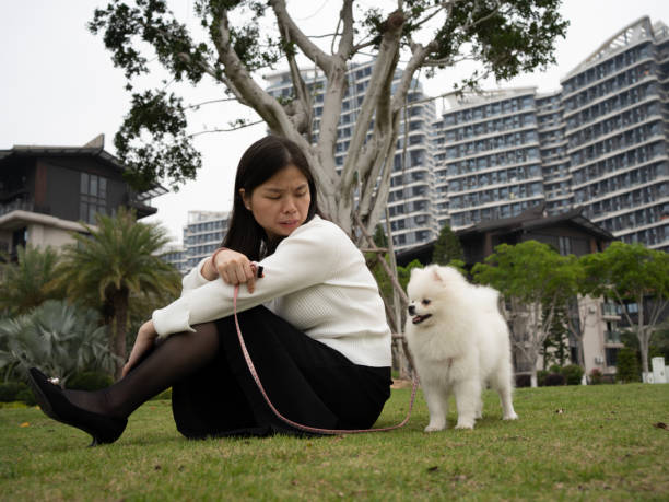 istock woman and her dog resting on the grass 1485101045