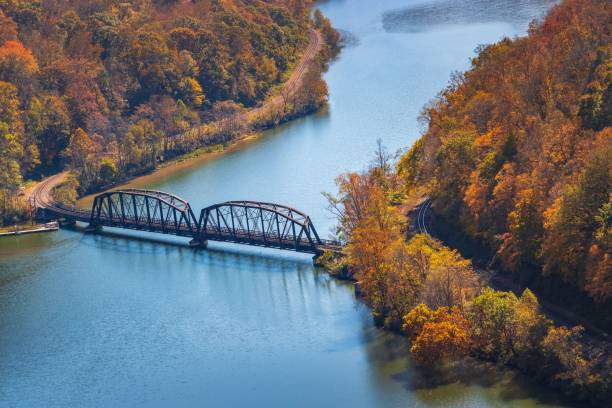istock an aerial view of a bridge with several trees in the background 1485101871