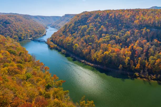 istock a large river that is in the middle of some trees 1485101873