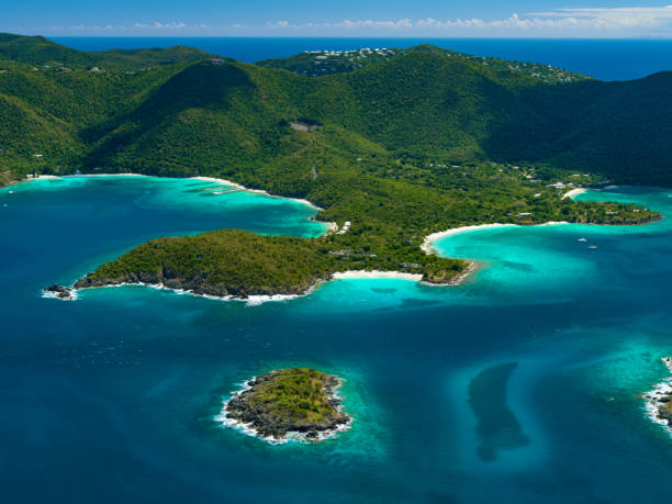 istock Caneel Bay, United States Virgin Islands 1485107777