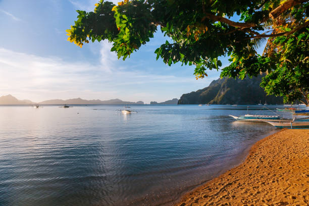 istock Beach in sunset. El Nido , Palawan island. 1485110083