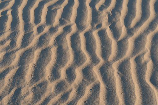 Wind Formed Ripples In Rocks Wind Formed Ripple Pattern In The Sand At Devils Cornfield Mesquite ...