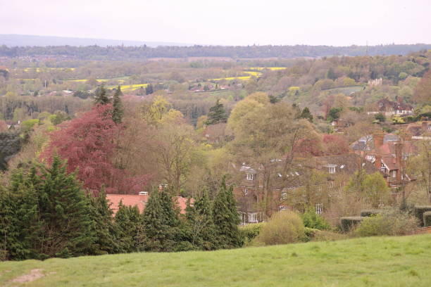 istock Pewley Down Guildford Surrey England 1485114160