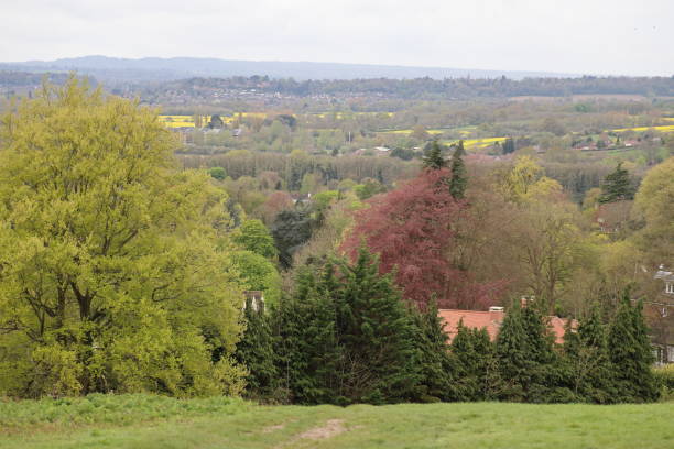 istock Pewley Down Guildford Surrey England 1485114164