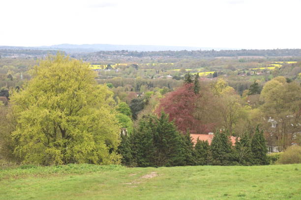 istock Pewley Down Guildford Surrey England 1485114165