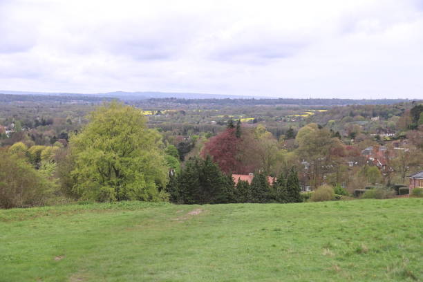 istock Pewley Down Guildford Surrey England 1485114203