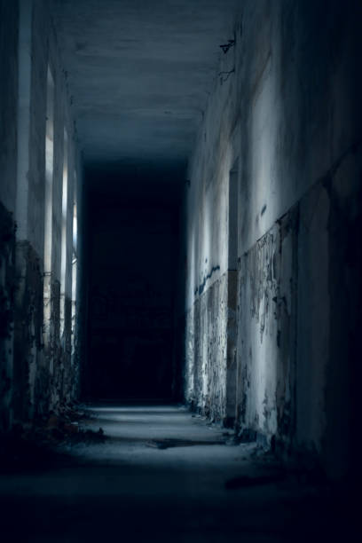 istock Beauty of decay 1485121502