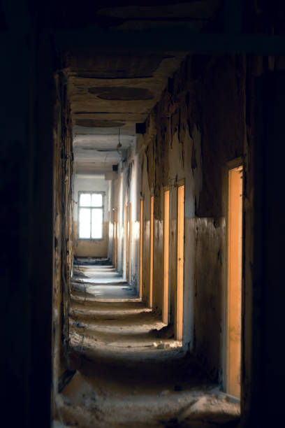 istock Beauty of decay 1485121726