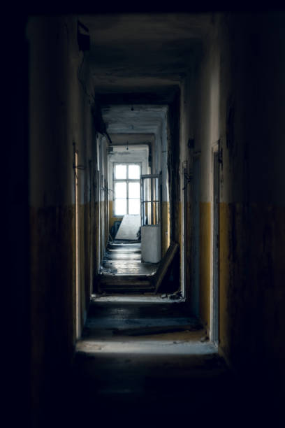 istock Beauty of decay 1485121767