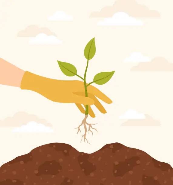 Vector illustration of A hand in a yellow glove planting a seedling in the ground. Vector illustration in flat style