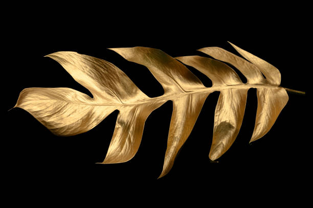 istock golden leaves isolated on black background. 1485122202