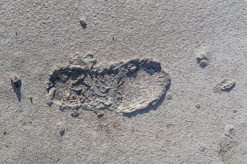 The footprint of a shoe on a gray background of cracked cement interspersed with grains of sand, streaks. Original building background for your photos