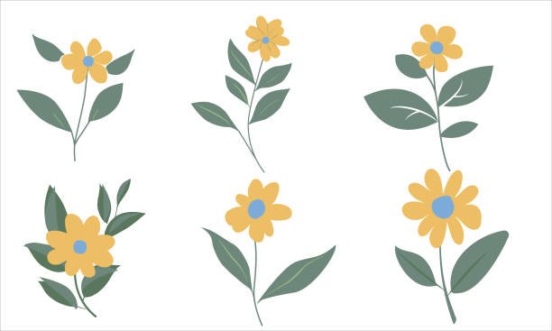 set of six simple flowers set of six simple flowers with petals and leaves vector illustration thalassoma pavo stock illustrations