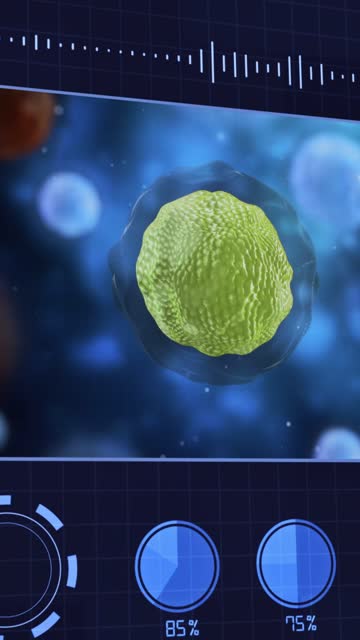 View of futuristic user interface with HUD and infographic elements. Dispersed corona viruses with blue background, COVID-19 3d rendering.