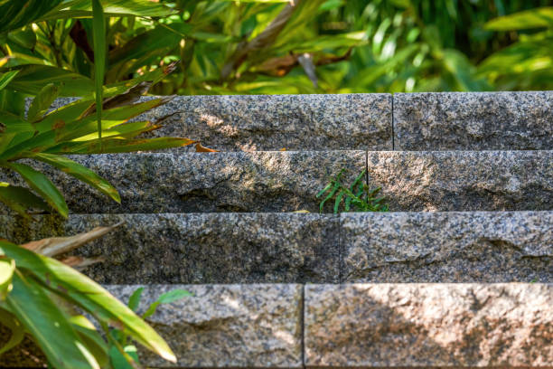 Close-up of stone steps in the park