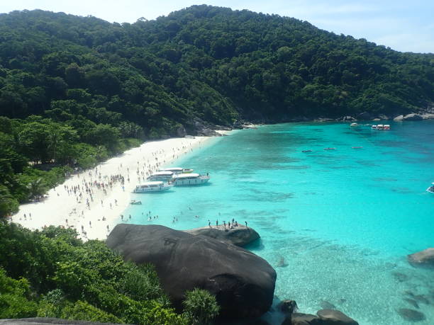 istock Similan national park in Thailand 1485127802
