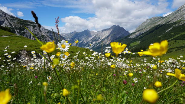 Springtime in the mountains of Austria