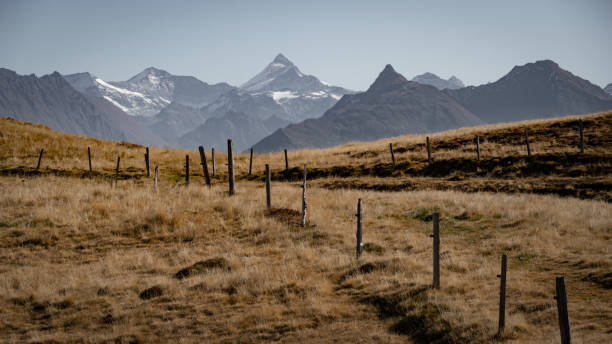 istock Alpine meadow in Austria in the fall 1485129540