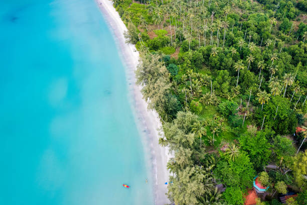 istock Beautiful tropical sea beach with palm tree forest in summer 1485132815
