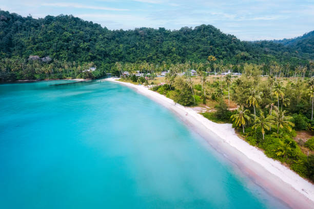 istock Beautiful tropical sea beach with palm tree forest in summer 1485133251