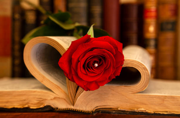 Heart book page with a rose